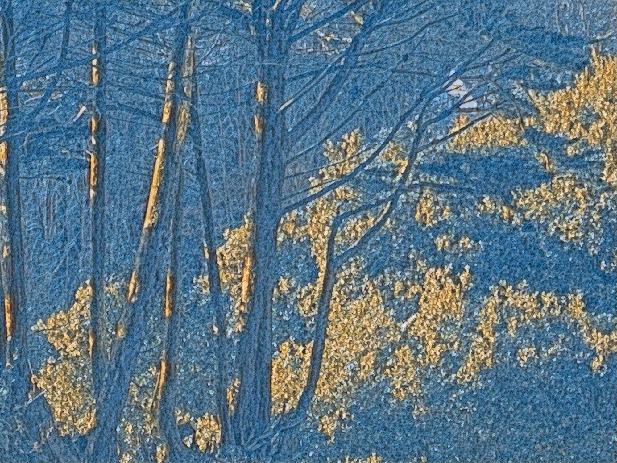 Lamentations 1